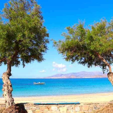 The Nine Graces - Agios Prokopios Beach Villas With Private Swimming Pools Esterno foto